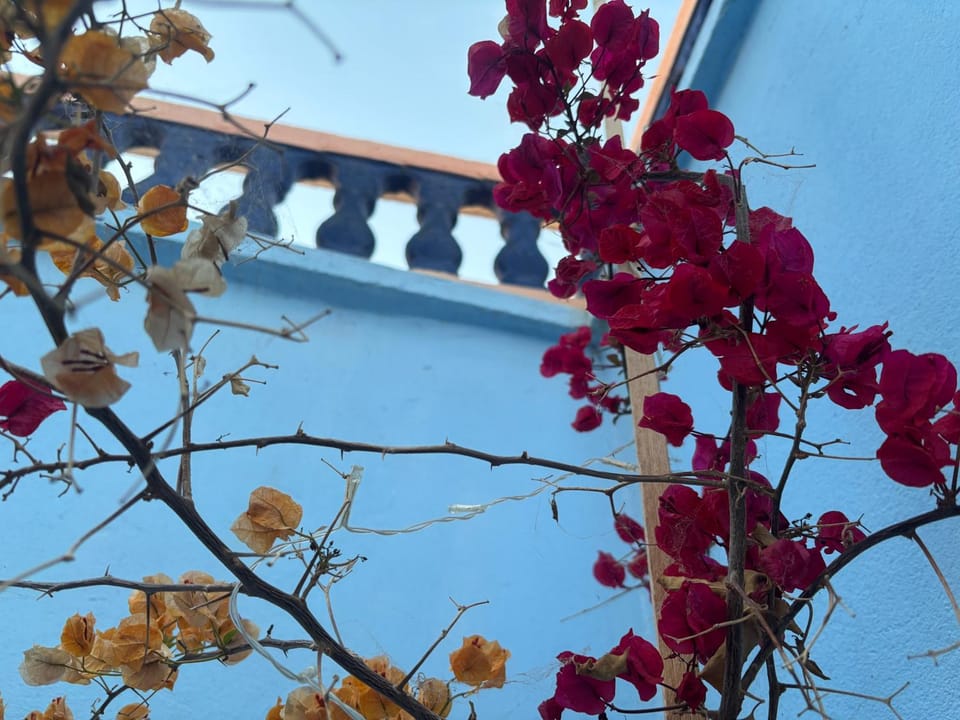 Day, Balcony/Terrace