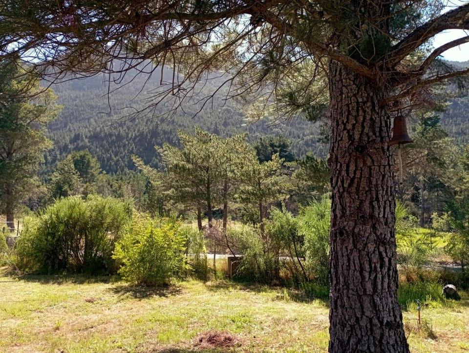Cabañas monoambiente La Generosa LP Chalet in Los Lagos, Chile