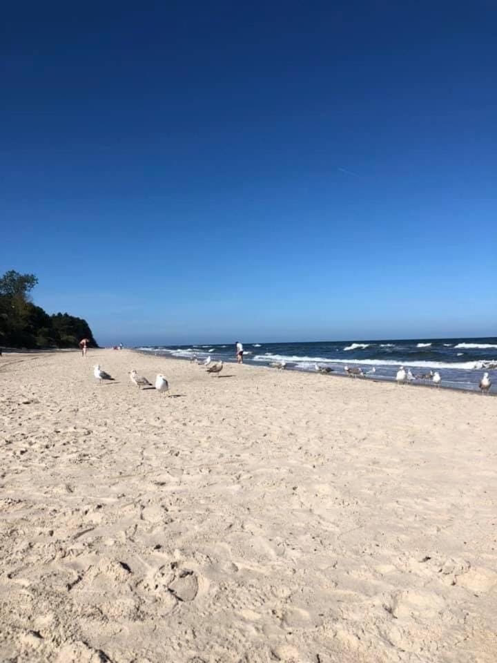 Natural landscape, Beach