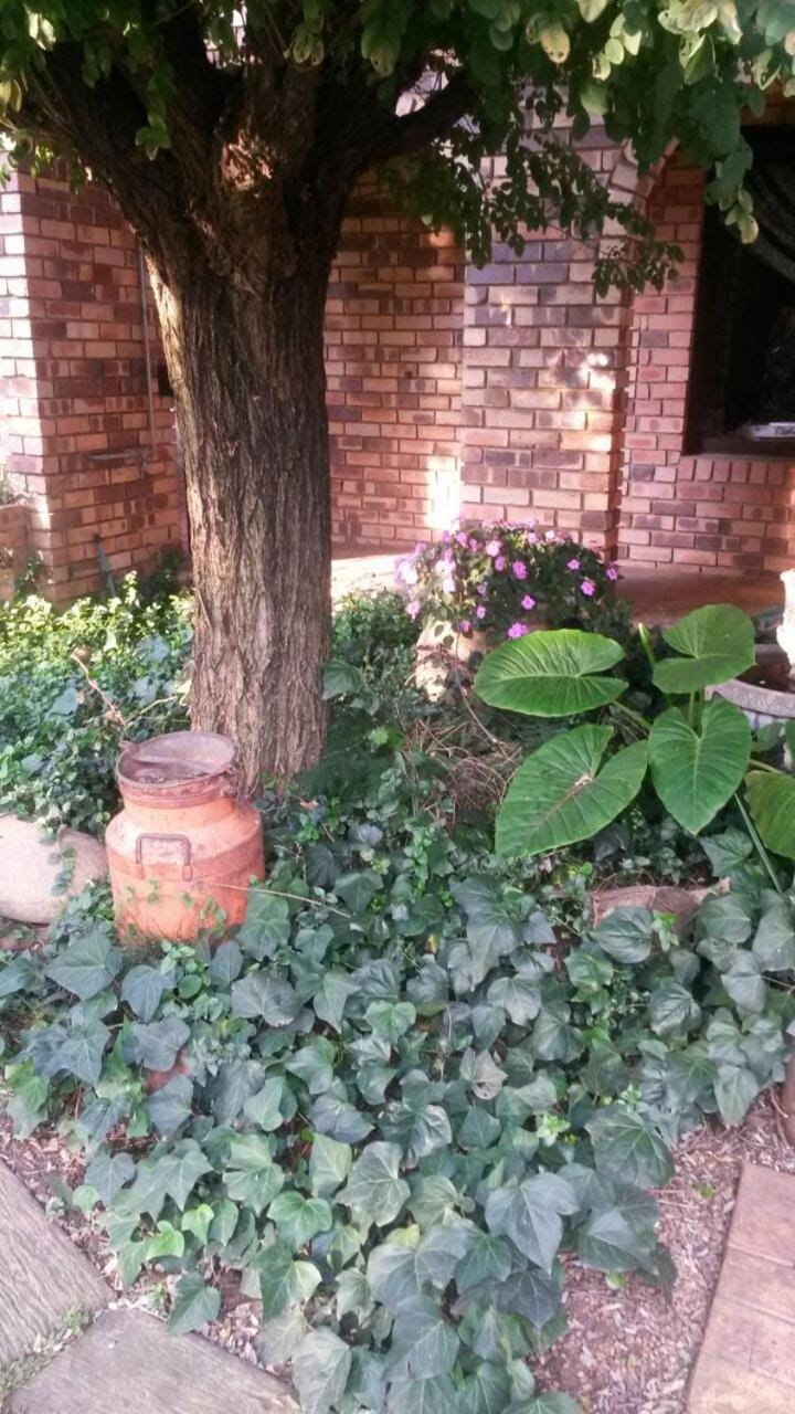 VAAL RIVER GUEST HOUSE Bed and Breakfast in Gauteng