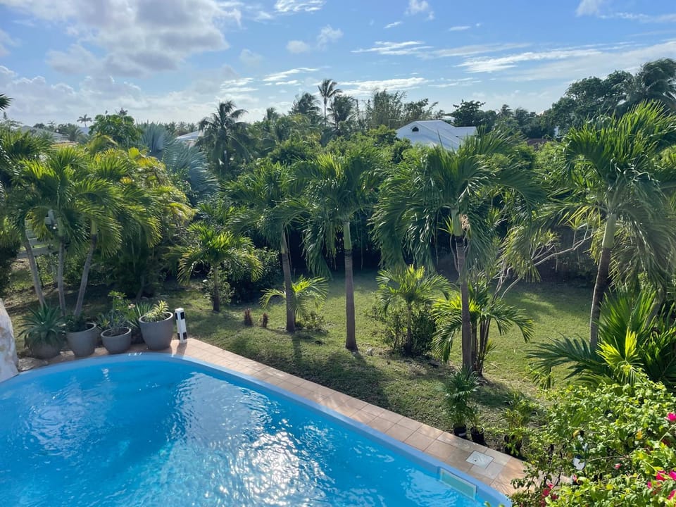 Garden, Garden view, Pool view, Swimming pool