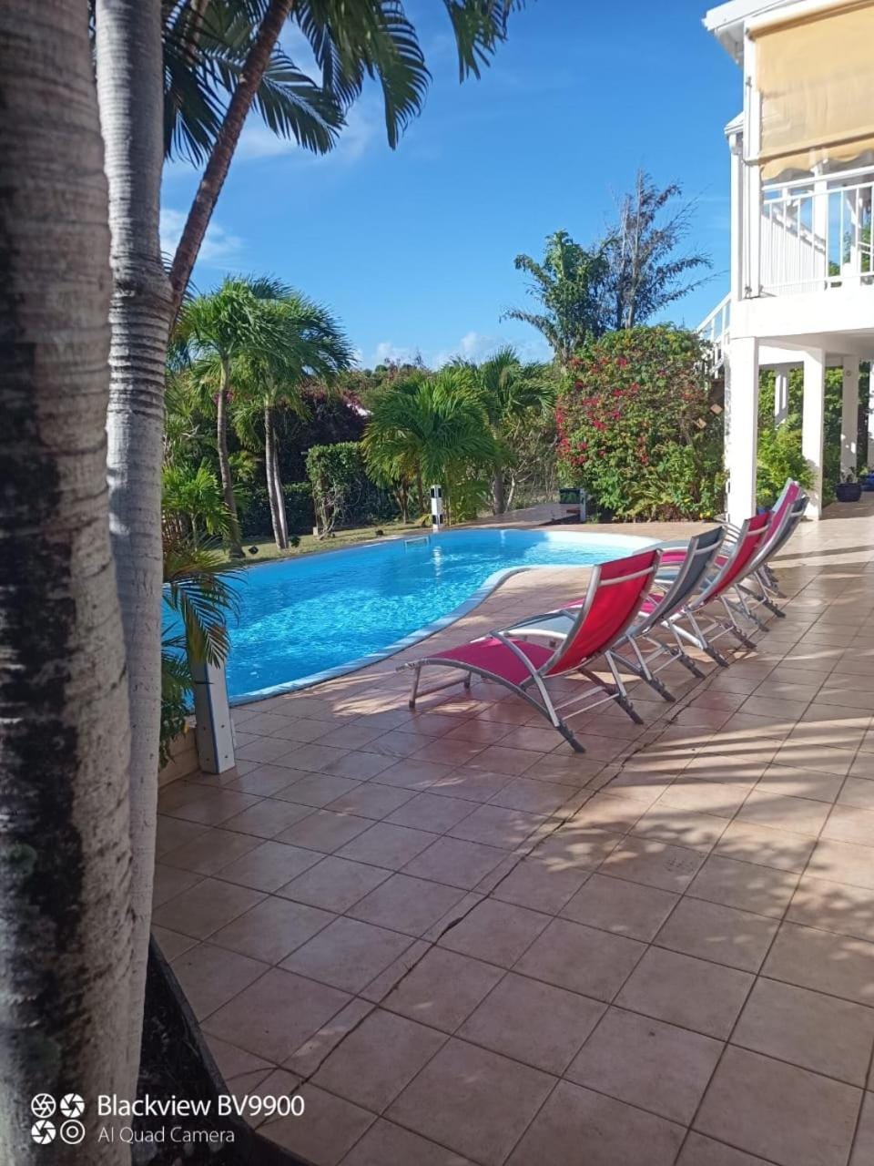 Swimming pool, sunbed