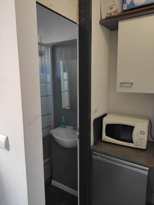 studio elis hypercentre Apartment in Strasbourg