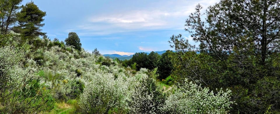 Nearby landmark, Natural landscape