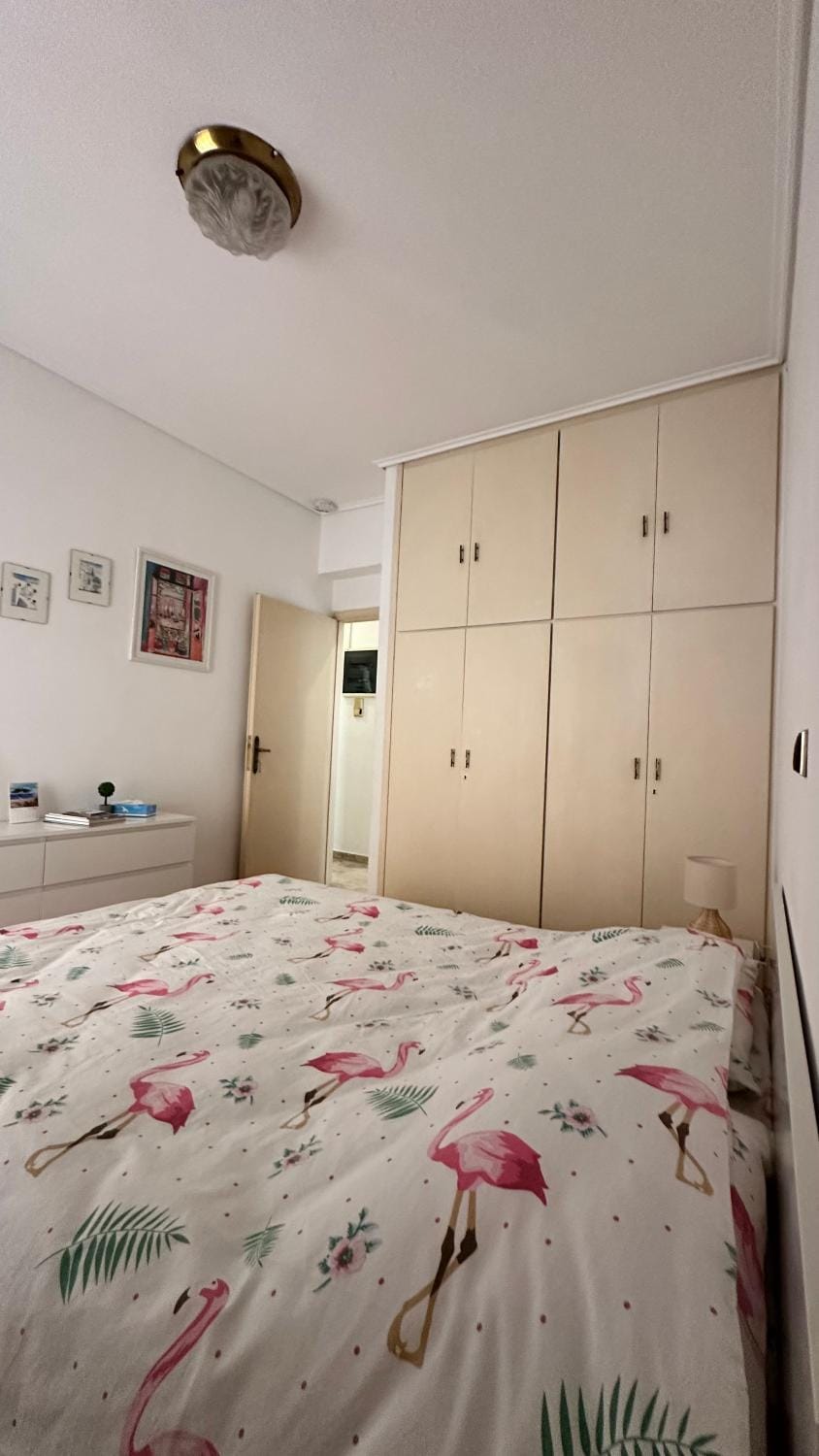 Bed, Photo of the whole room, wardrobe