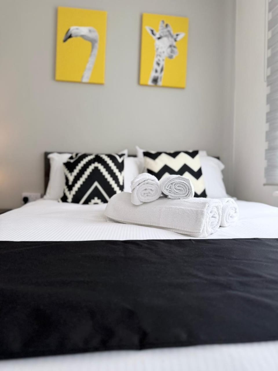 Perfect London Studio - 10 min to Archway Station Apartment in London Borough of Islington