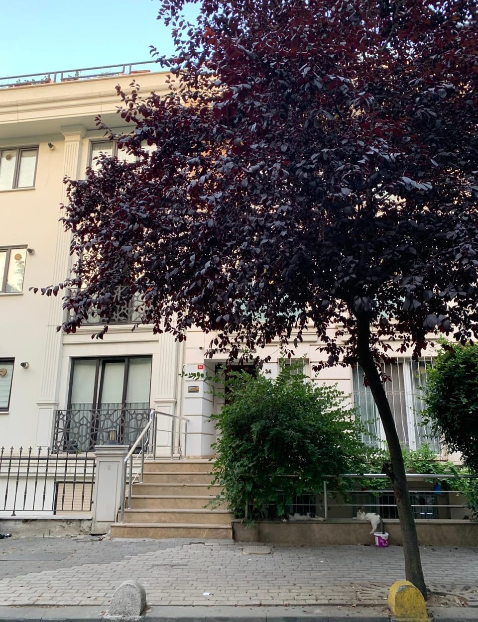 Property building, Facade/entrance