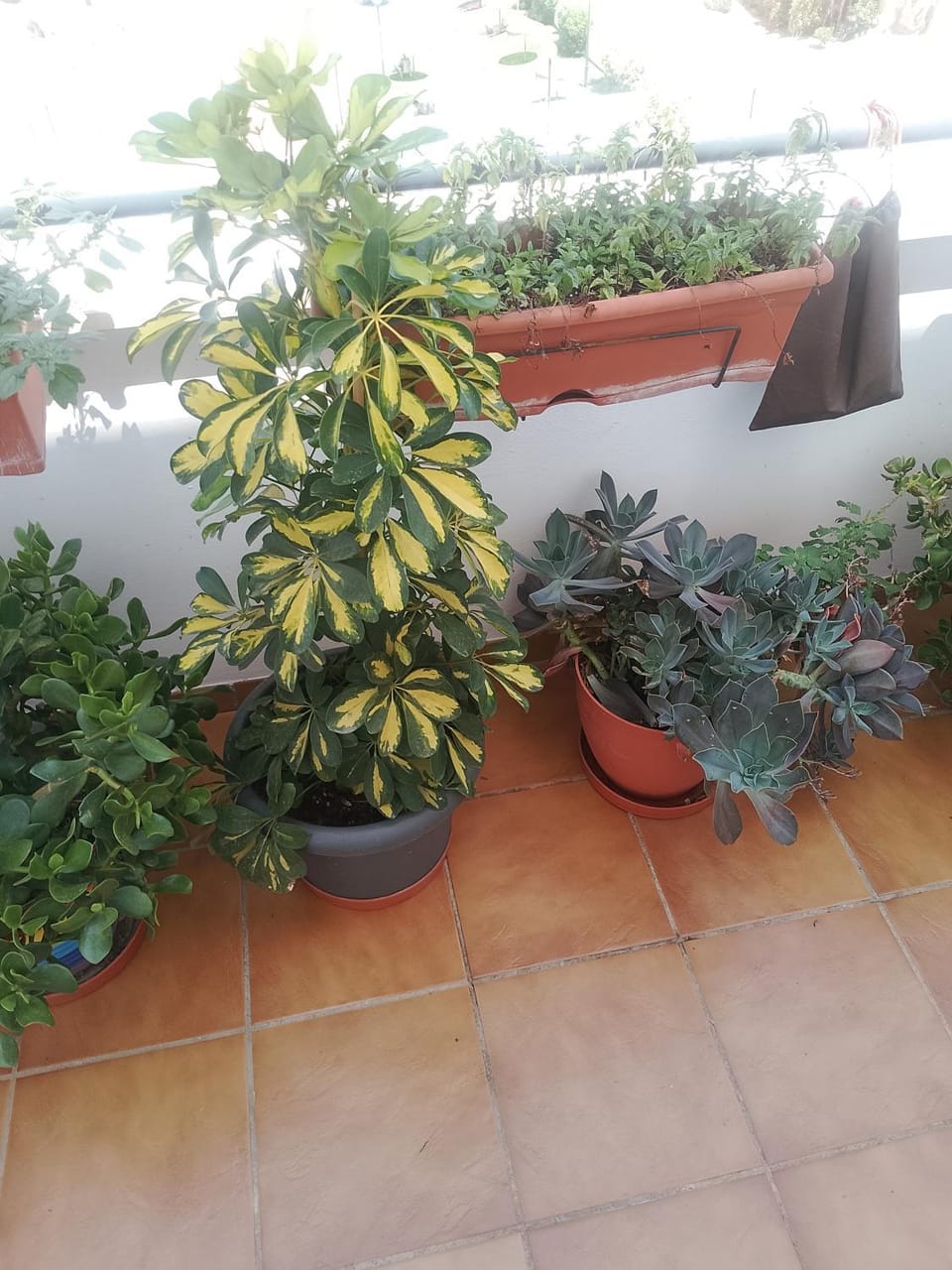 GOLF, PISCINA,PLAYA Apartment in Roquetas de Mar