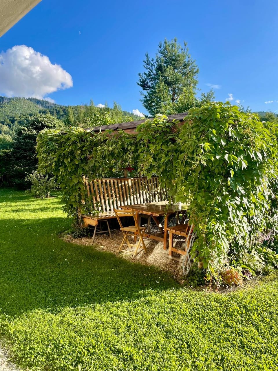 Spring, Day, Natural landscape, Garden, Garden view, Mountain view