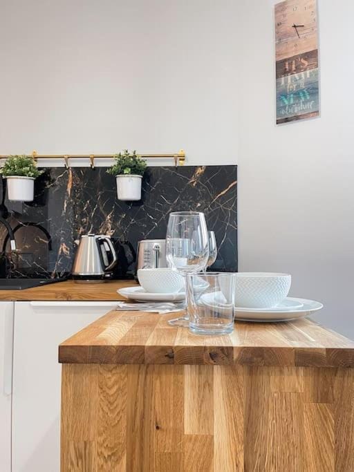 New One Bedroom Apartment with balcony Apartment in Krakow
