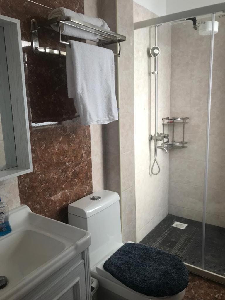 Shower, Toilet, Bathroom, towels
