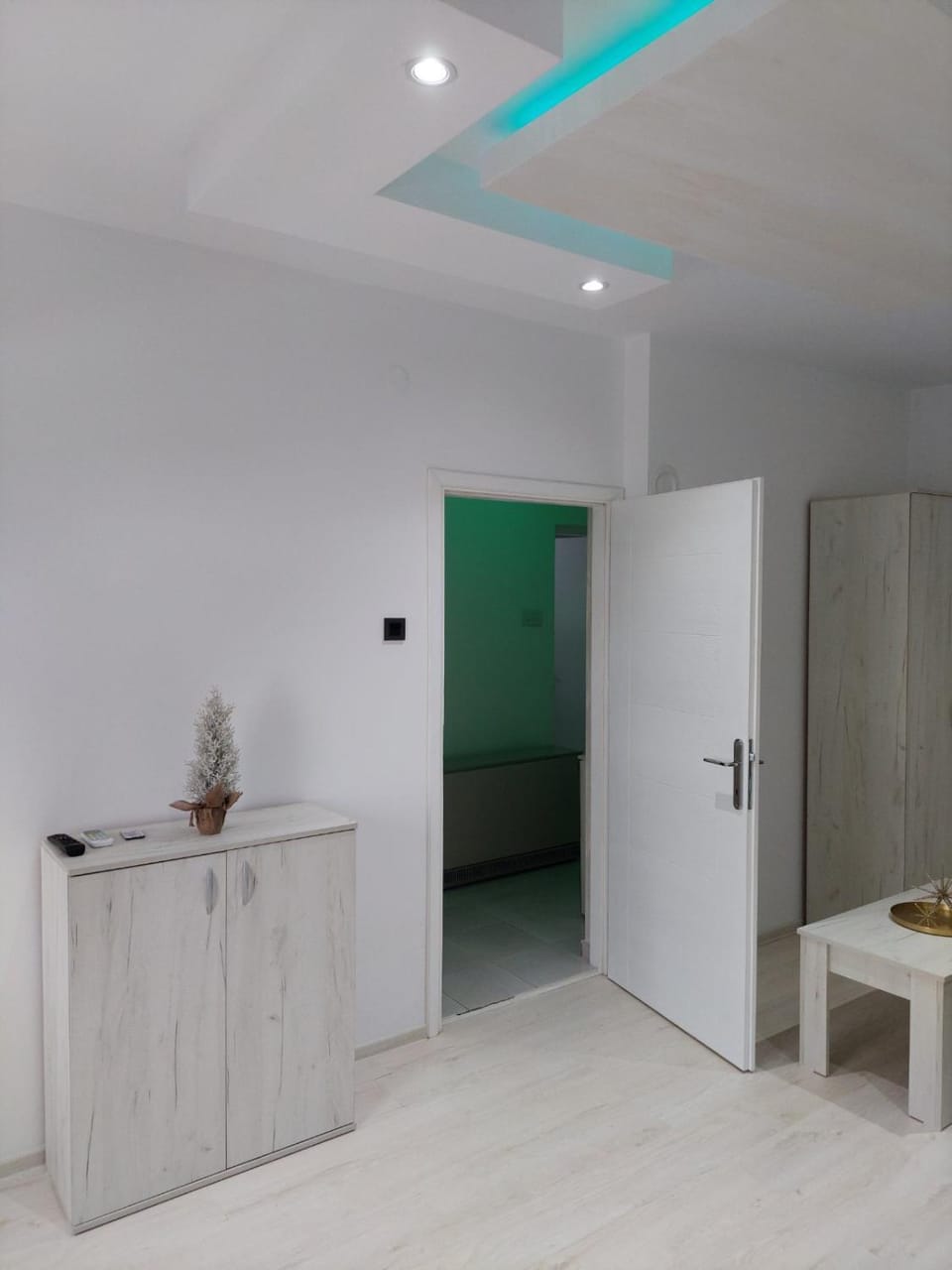 Apartman Aleksić u centru grada Apartment in Serbia