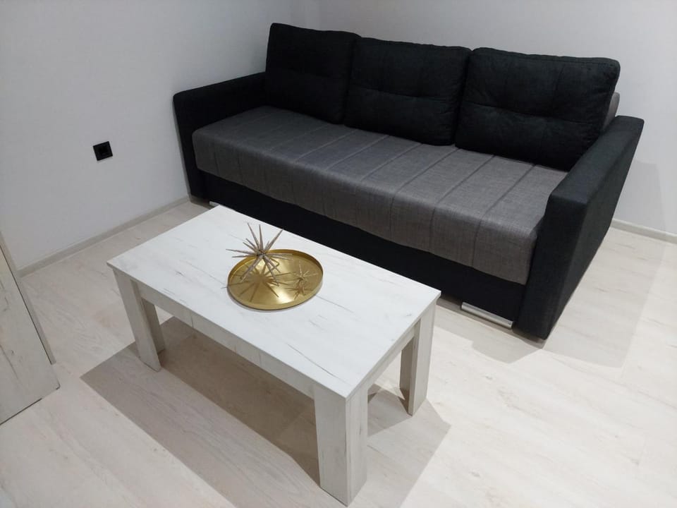 Apartman Aleksić u centru grada Apartment in Serbia