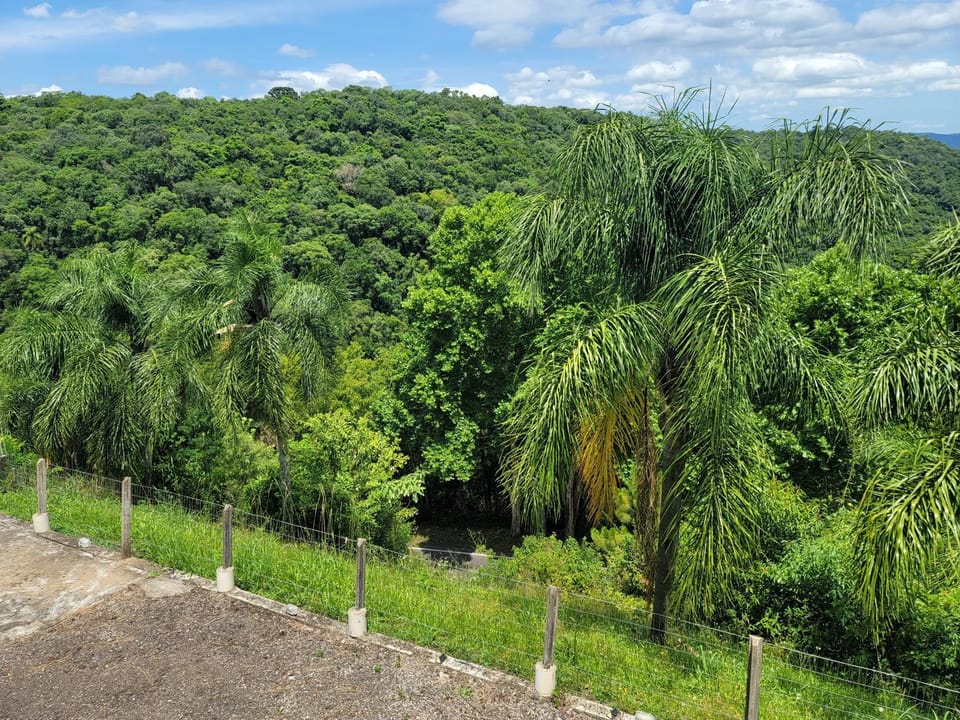 Natural landscape