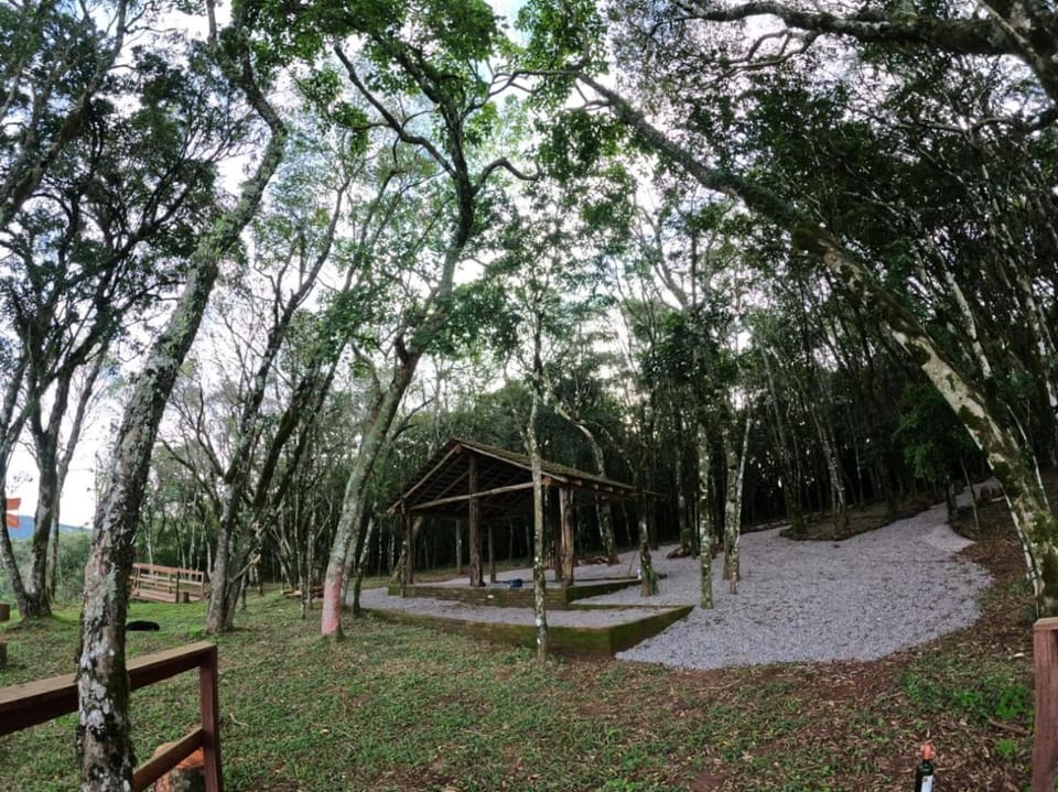 Natural landscape