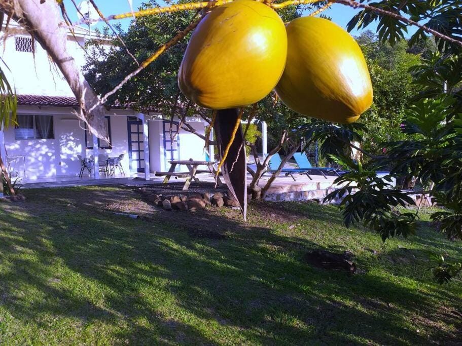Villa Campêche Marine Apartment in Martinique