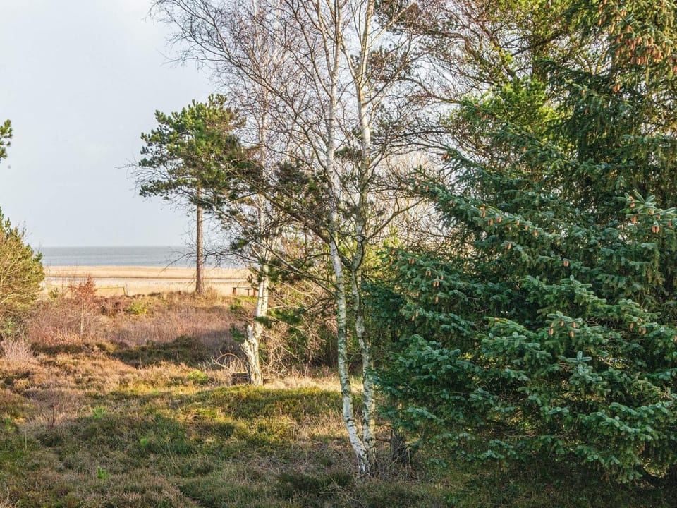 Lake view