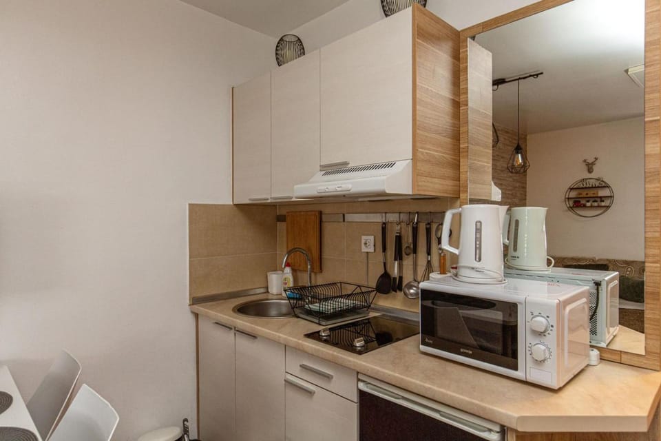 Kitchen or kitchenette, kitchen