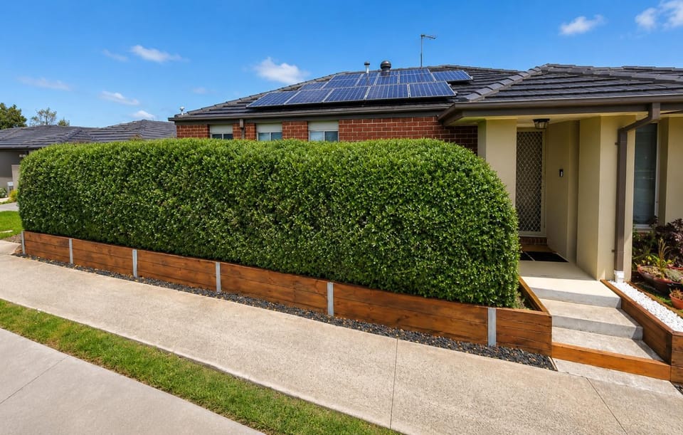 Property building, Garden
