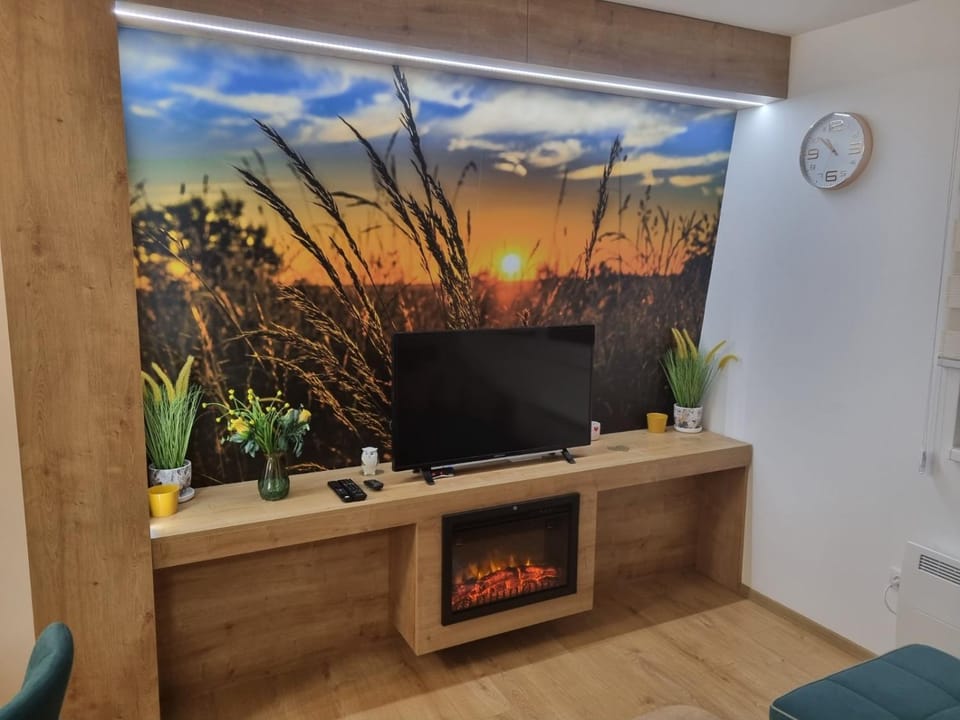 Vila Jahor Apartman Miro Apartment in Federation of Bosnia and Herzegovina