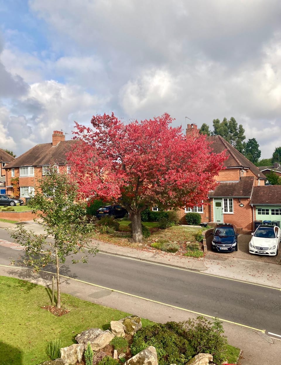 Neighbourhood, Street view