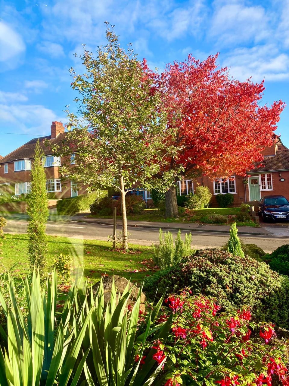 Garden, Garden view, Street view