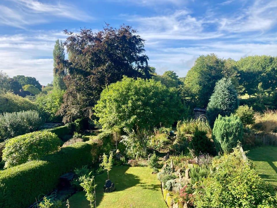 Natural landscape, Garden view