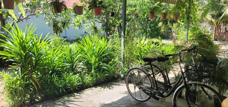 Garden, Cycling, Garden view