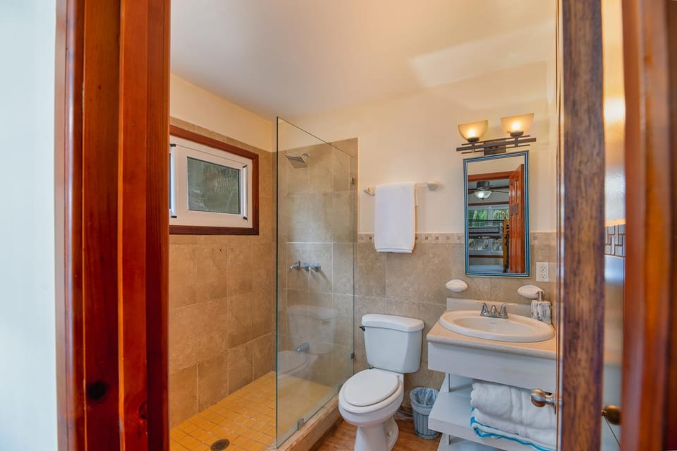 Shower, Toilet, Bathroom, towels