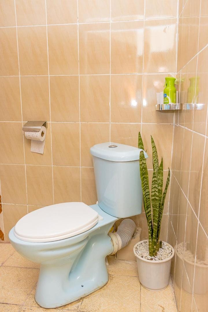 Toilet, Bathroom