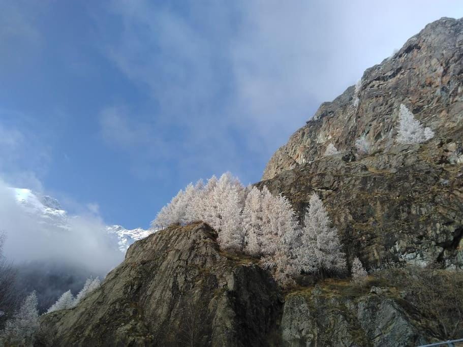 Grené de Singlin Chalet in Valtournenche