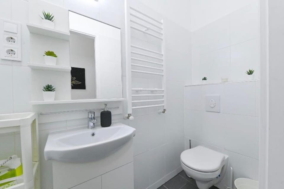 2 bedroom flat in Damjanich str., Hirsch Apartment in Budapest