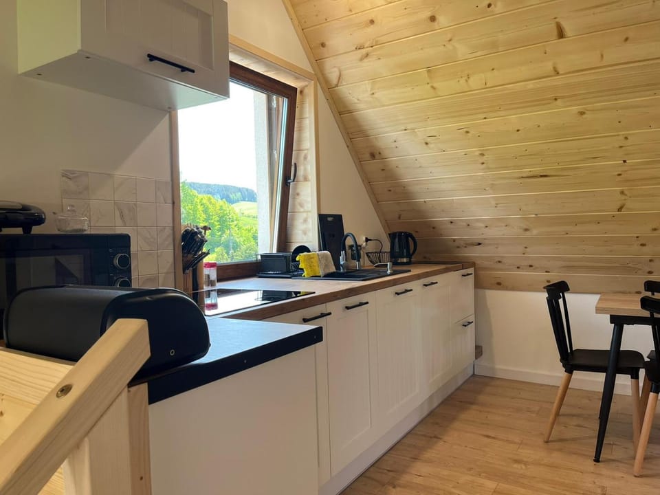 Kitchen or kitchenette, Dining area, stove