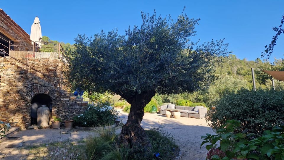 Chambres d'hôtes Le Pontillaou Bed and Breakfast in French Riviera