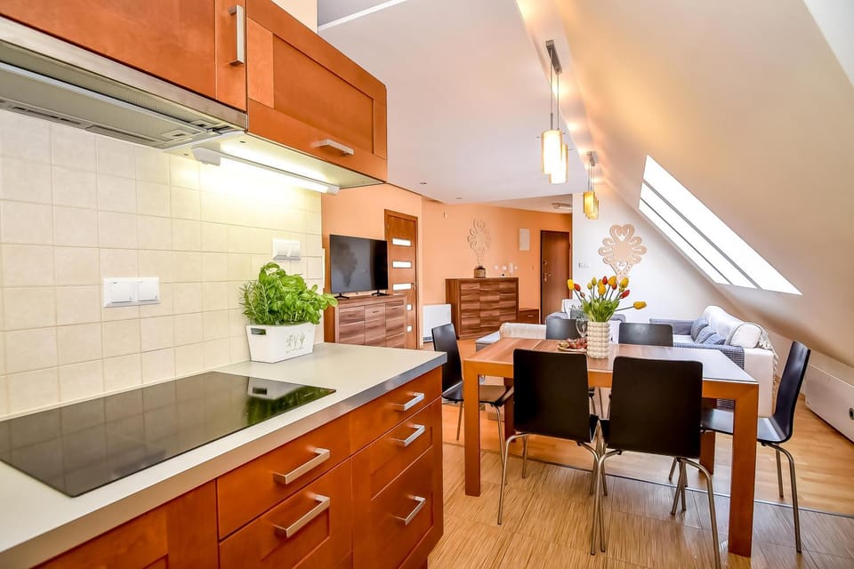 Kitchen or kitchenette, Dining area, stove