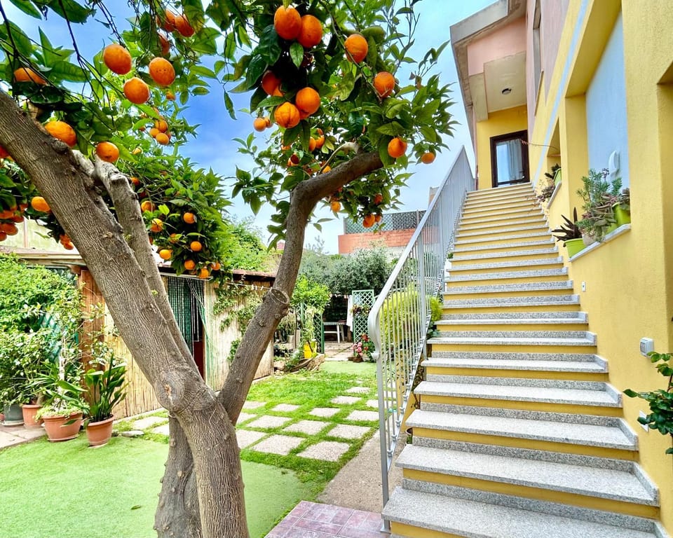 Garden view
