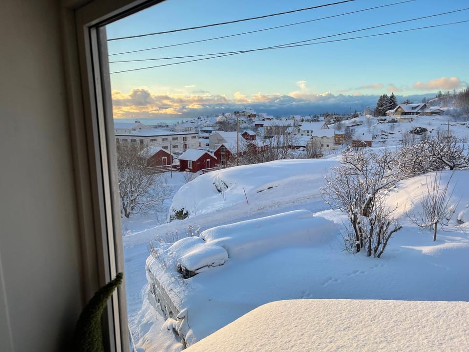 Day, Natural landscape, Winter