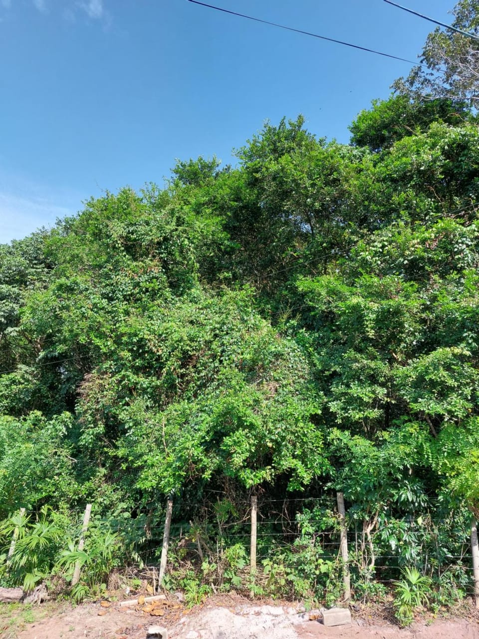 Natural landscape