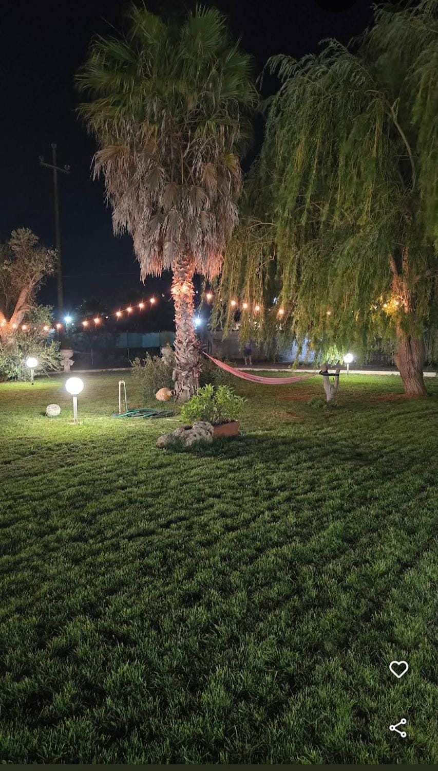 Night, Garden, Garden view