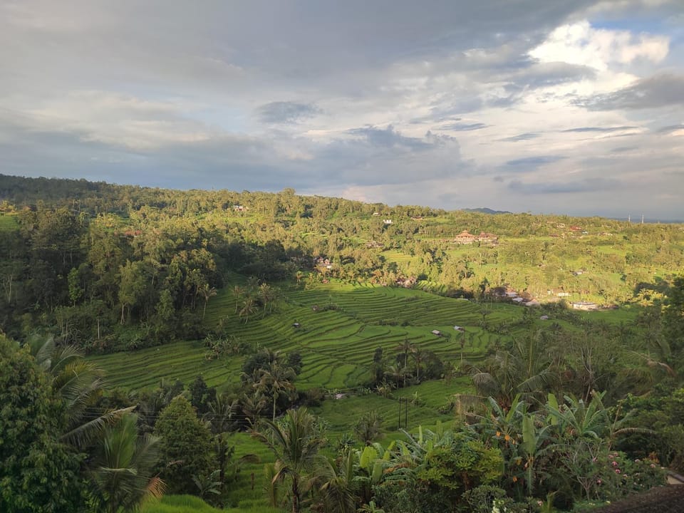 View (from property/room)