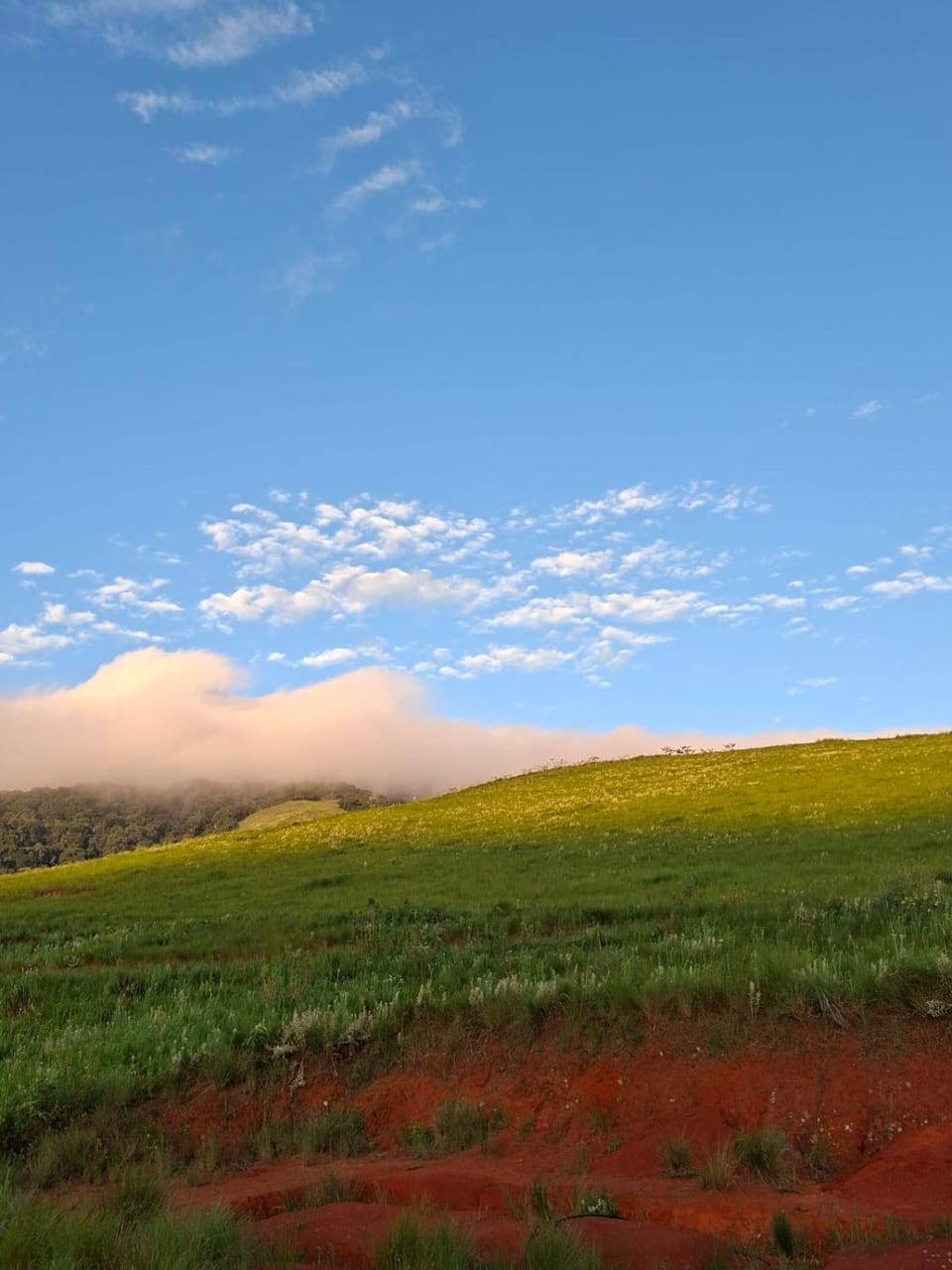 Natural landscape