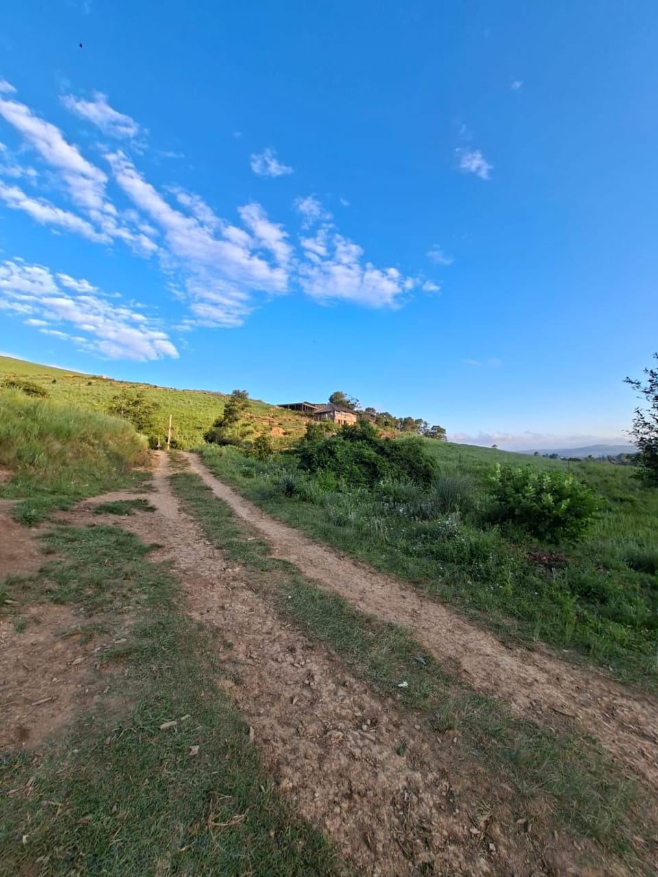 Spring, Natural landscape