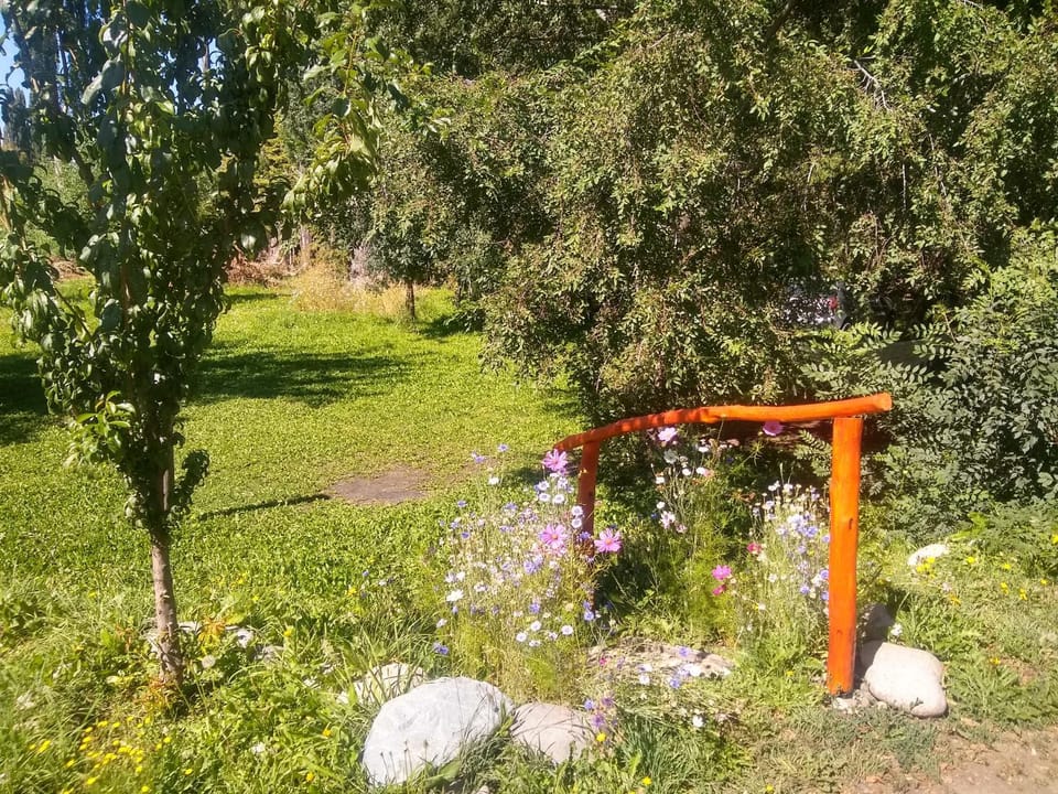 Garden view