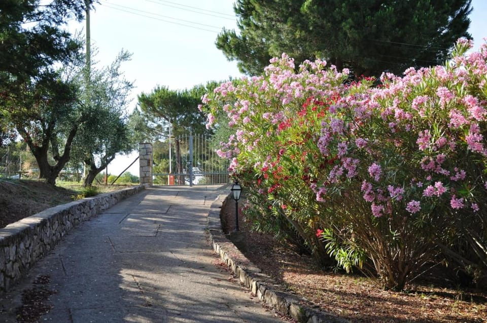 Villa Gualdo piscina vista mare Villa in Tuscany