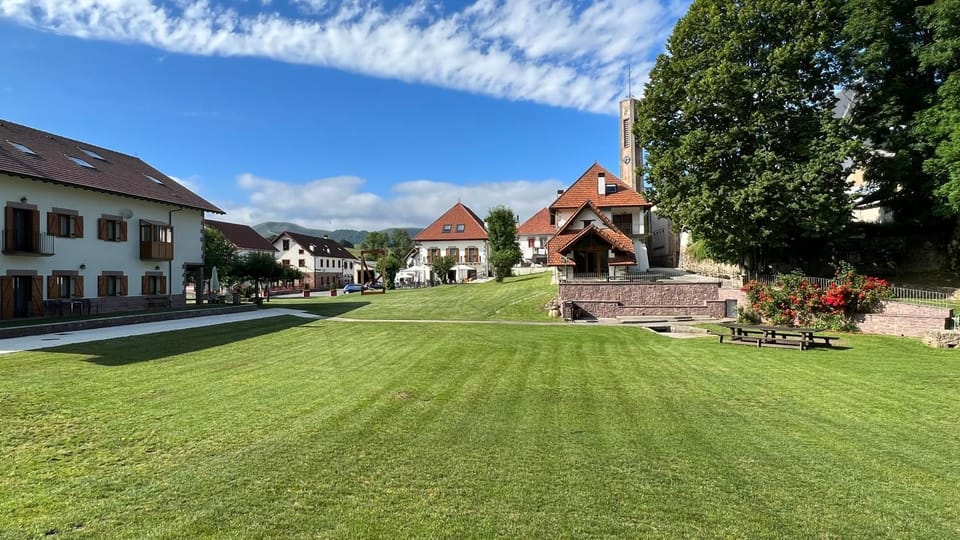 Natural landscape, Garden, Garden view