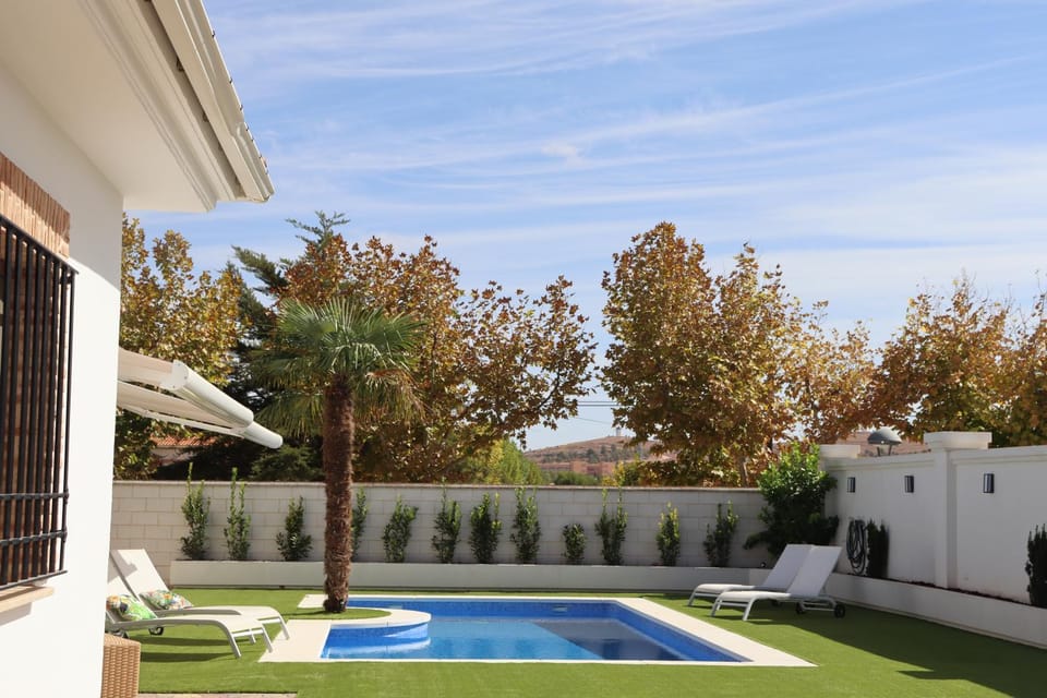 Garden, Garden view, Swimming pool, sunbed