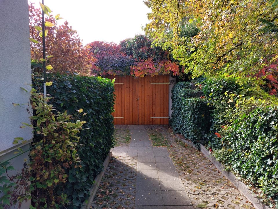 Garden, Garden view
