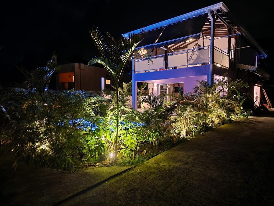 Night, Garden, Garden view