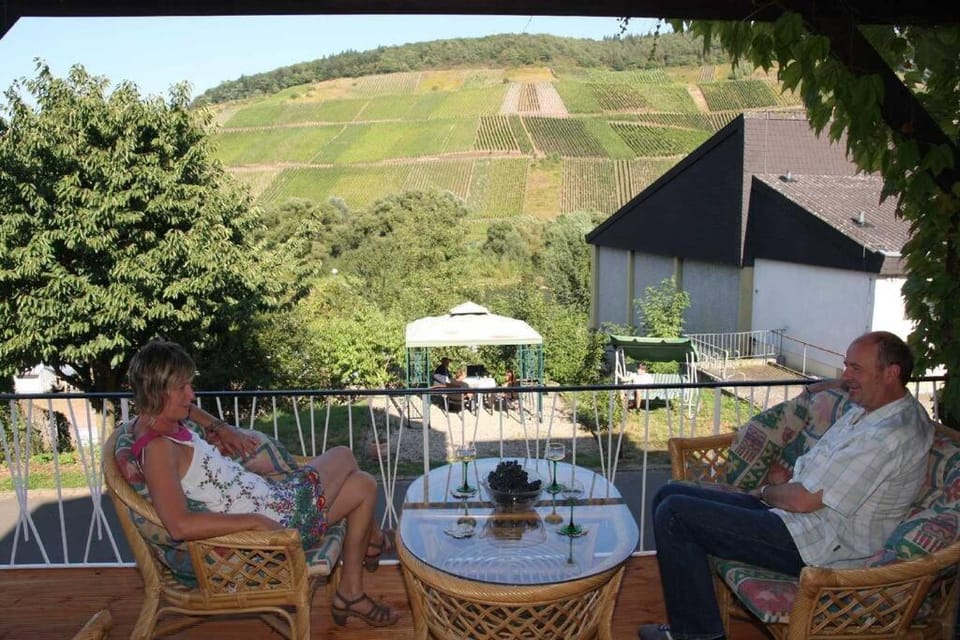 Natural landscape, Dining area, Guests