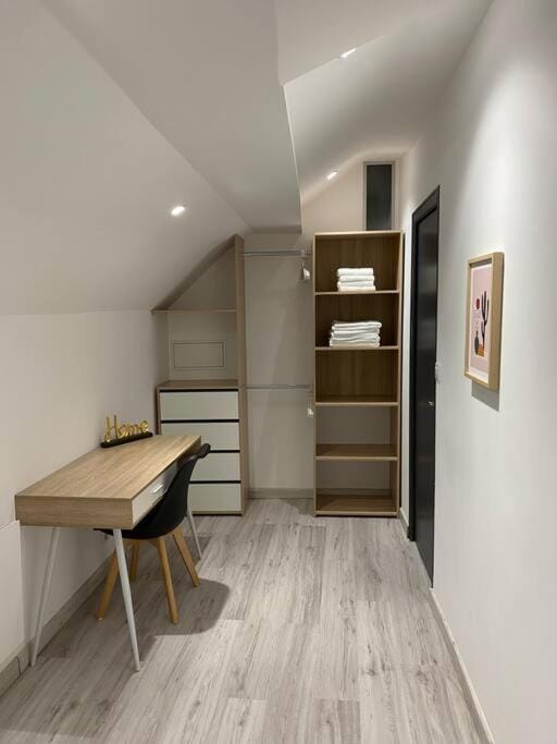 f2 50m2 atypique en souplex vue basilique Apartment in Grand Est